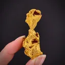 Gold - image 1