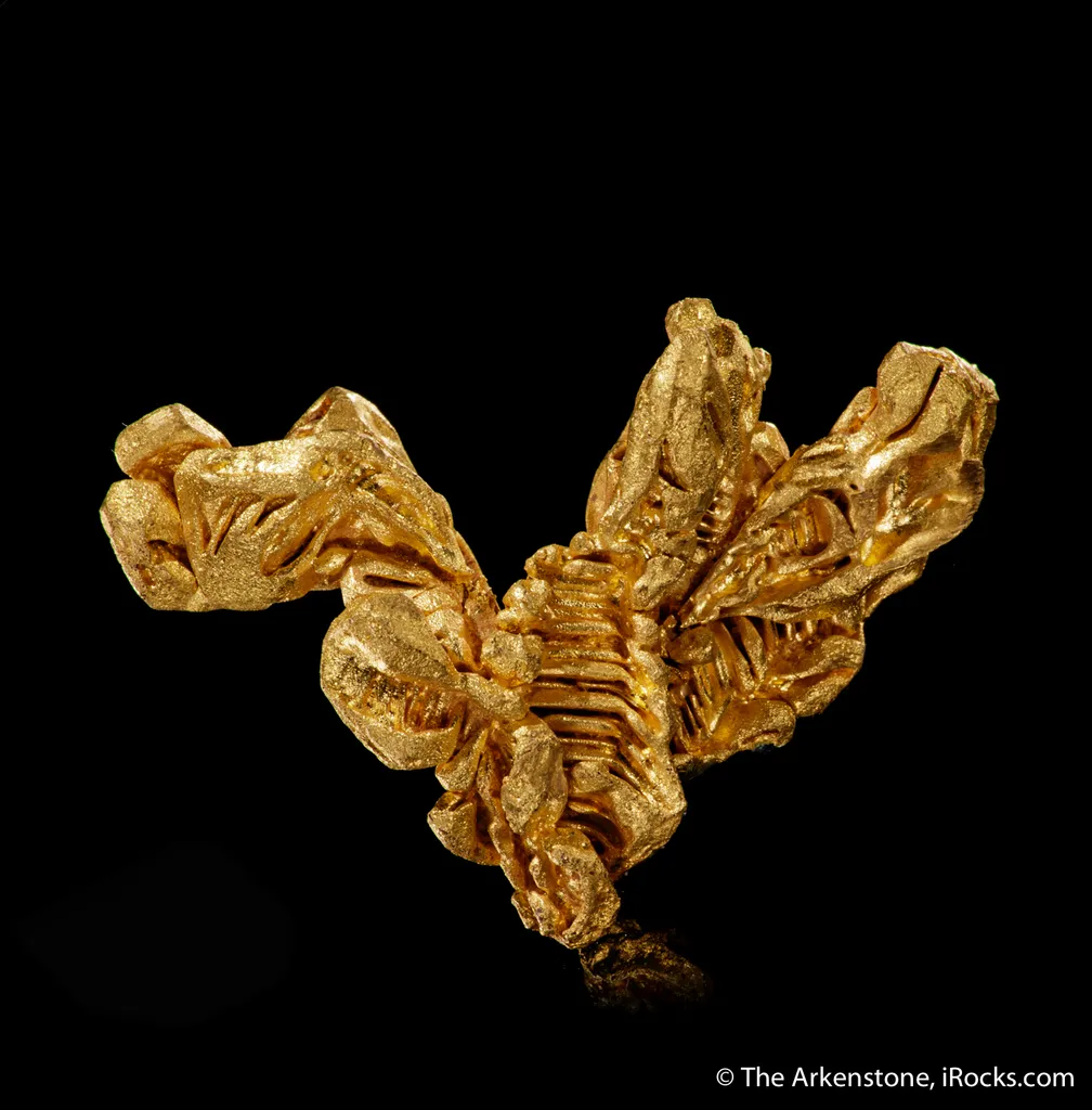 Gold - image 2