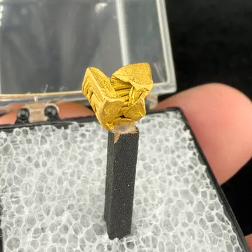 Gold