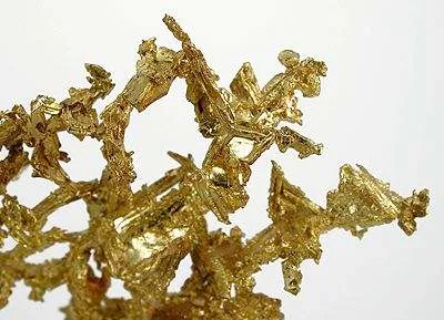 Gold - image 4