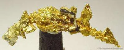Gold - image 3