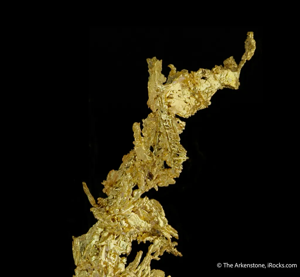 Gold - image 5