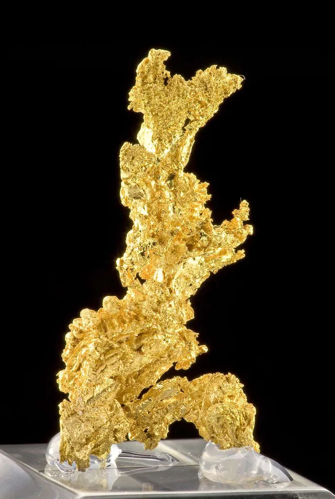 Gold - image 2