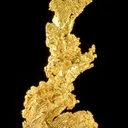 Gold - image 2