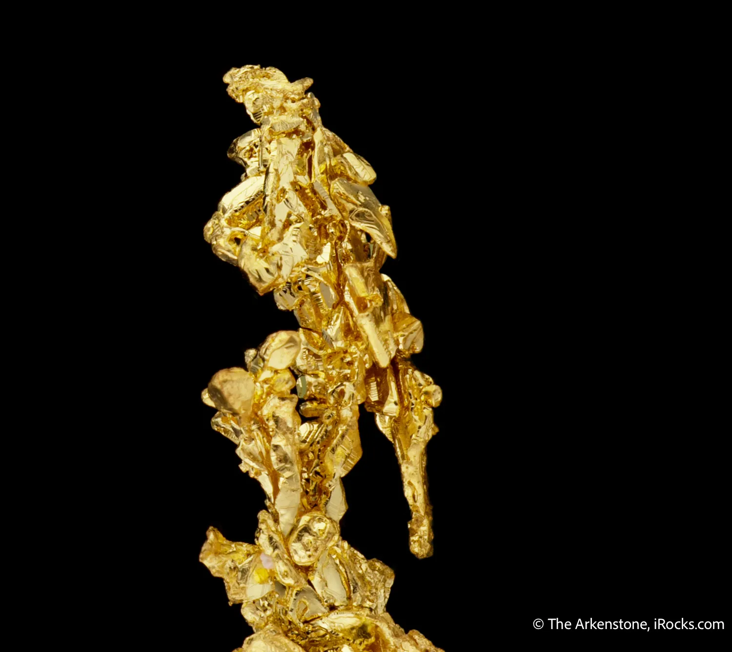 Gold - image 6