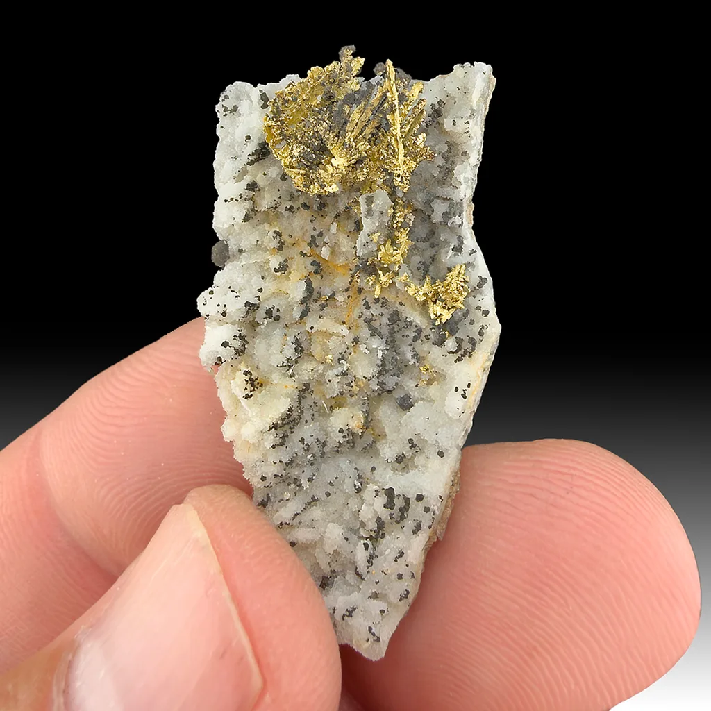 Gold - image 1