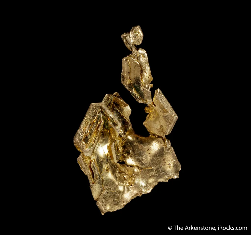Gold - image 5