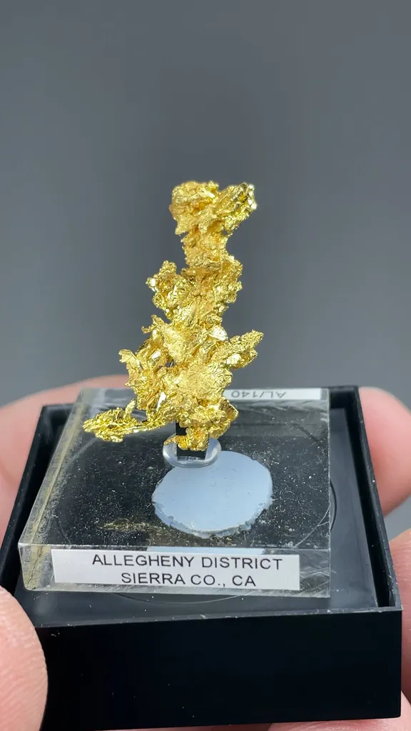 Gold - image 2