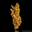 Gold - image 2