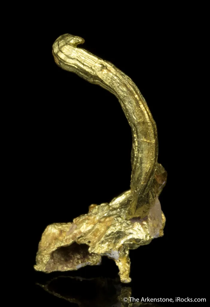 Gold - image 3