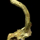 Gold - image 3