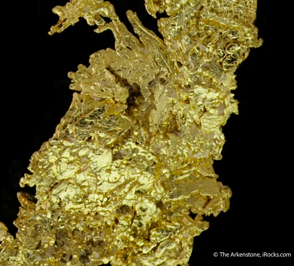 Gold - image 6