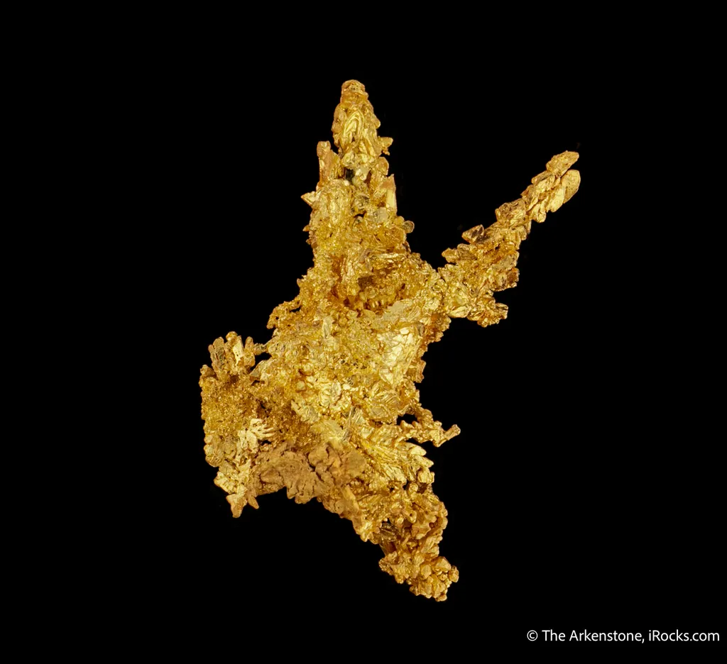 Gold - image 5