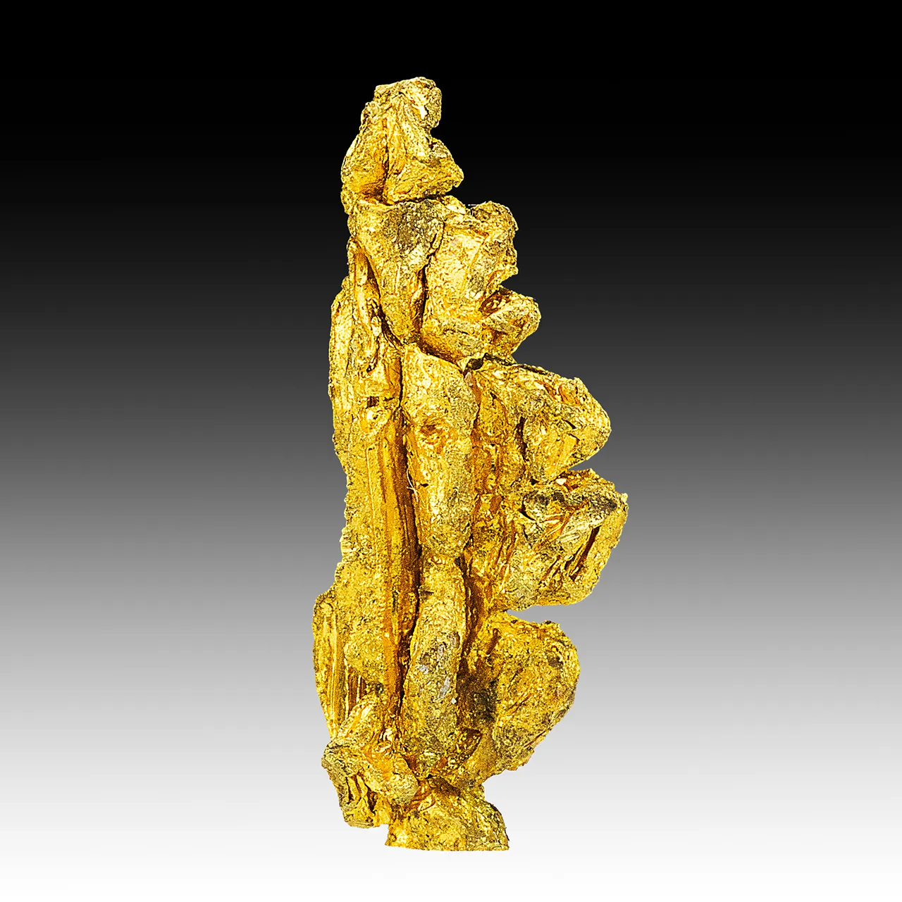Gold - image 1