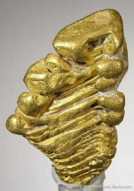 Gold - image 2