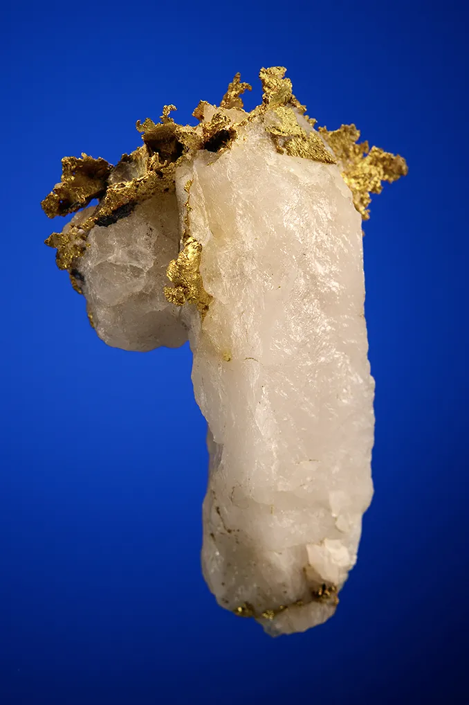 Gold - image 5
