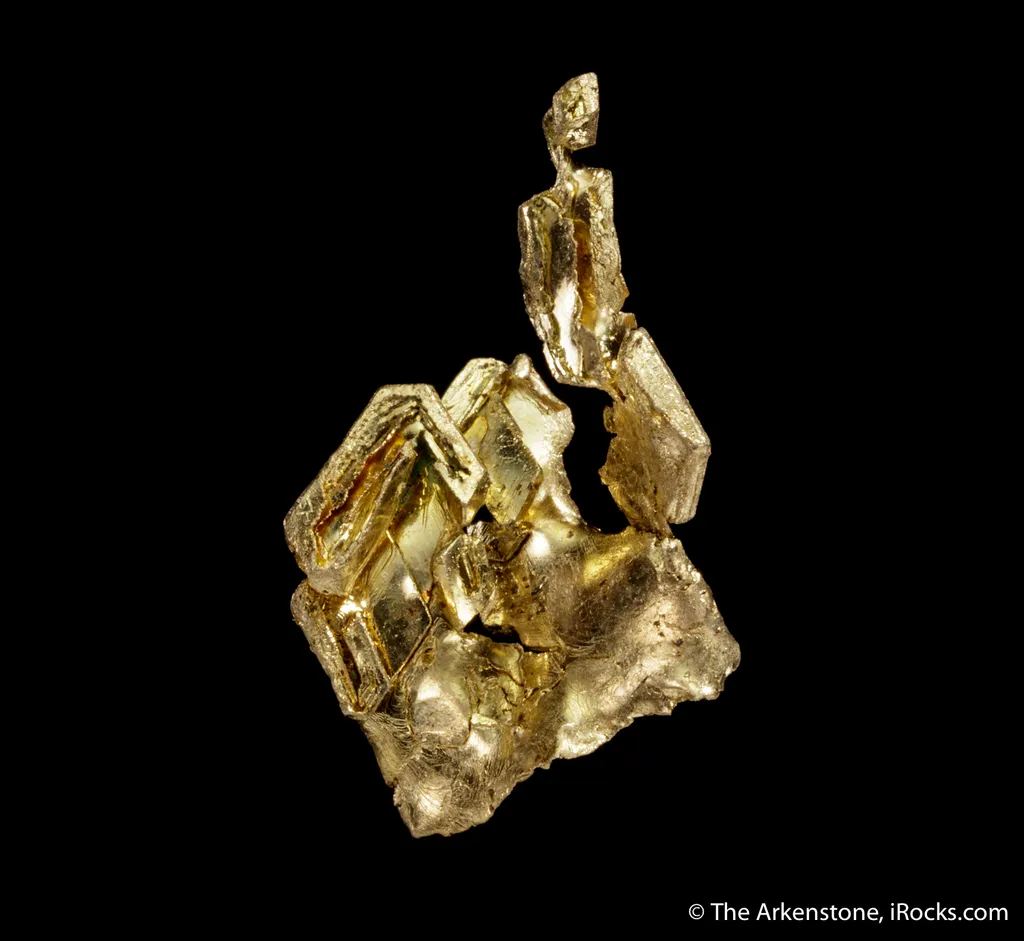 Gold - image 6