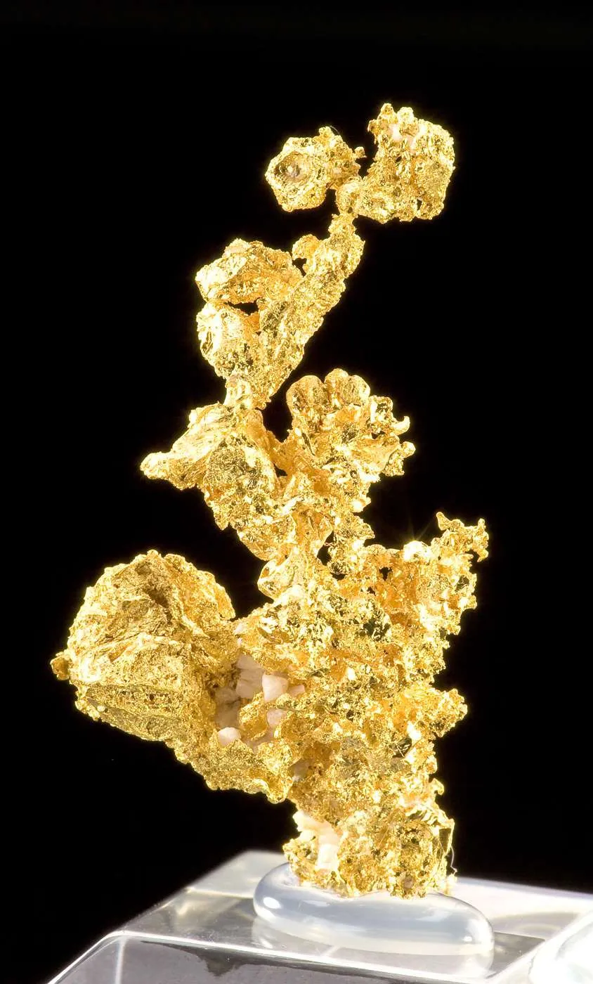 Gold - image 3