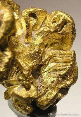 Gold - image 2