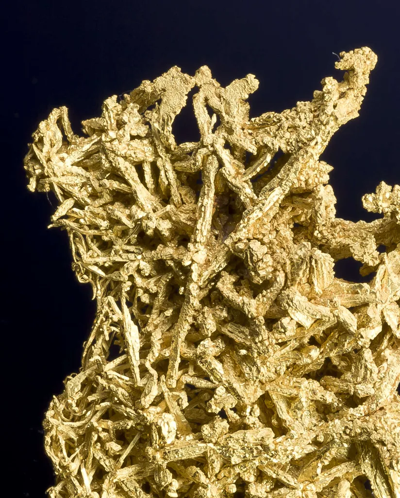 Gold - image 2