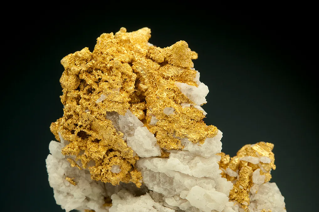 Gold - image 2