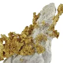 Gold - image 3