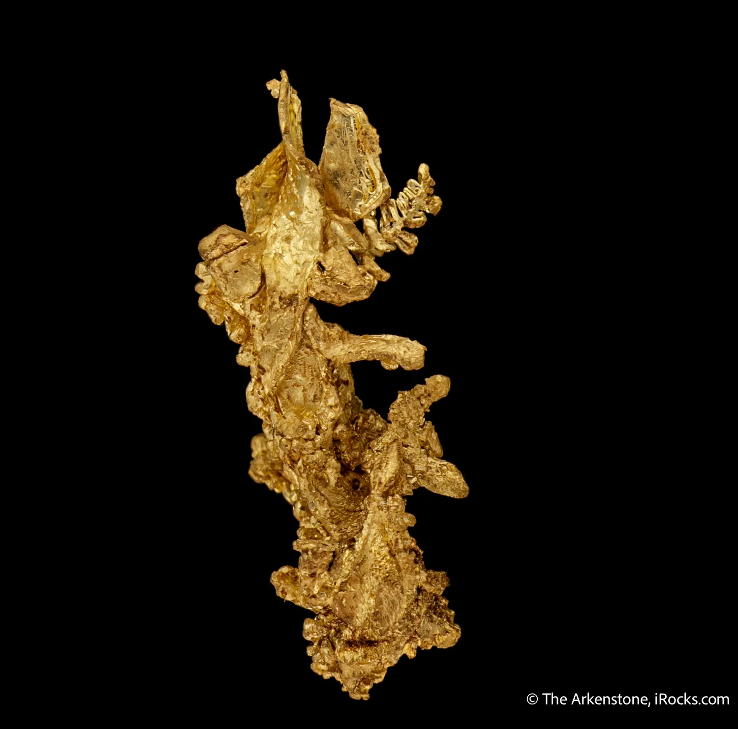 Gold - image 6