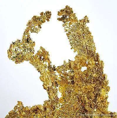 Gold - image 4