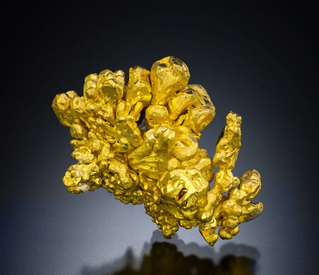 Gold - image 2