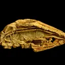 Gold - image 2