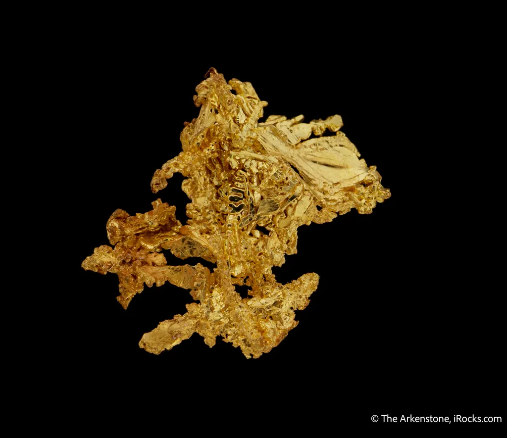 Gold - image 5
