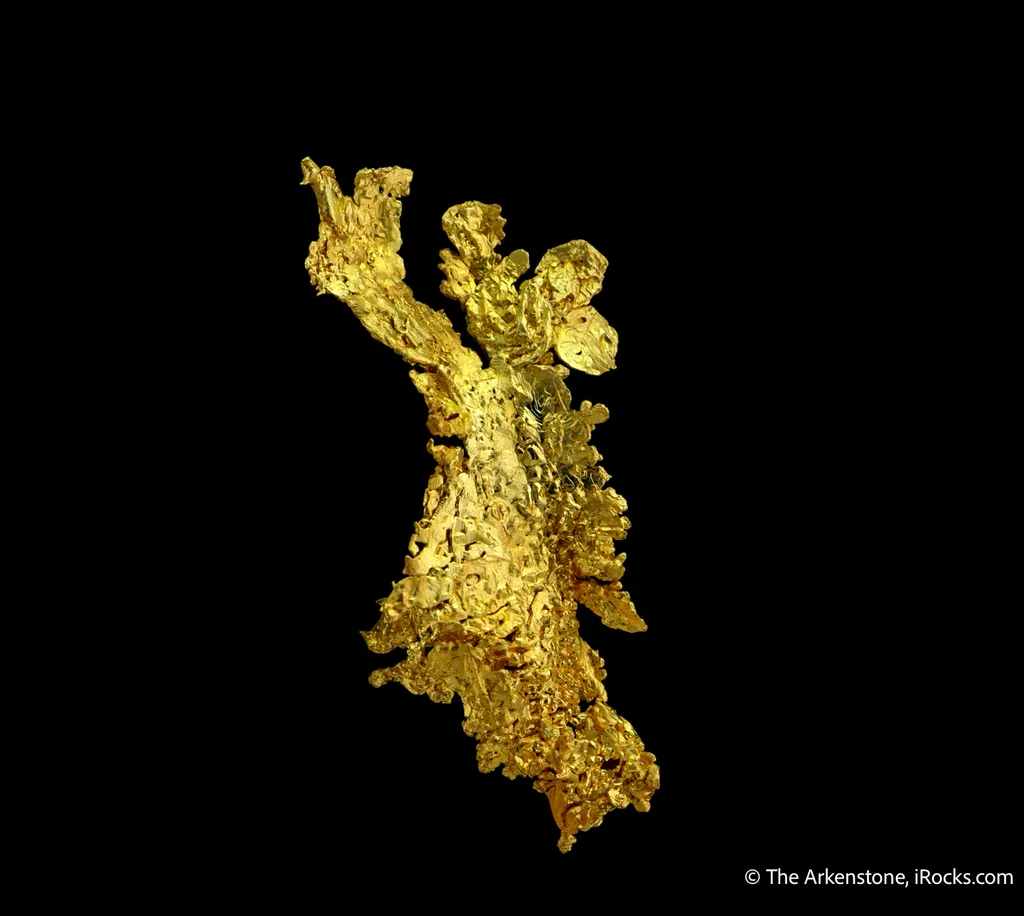 Gold - image 5