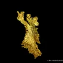 Gold - image 5