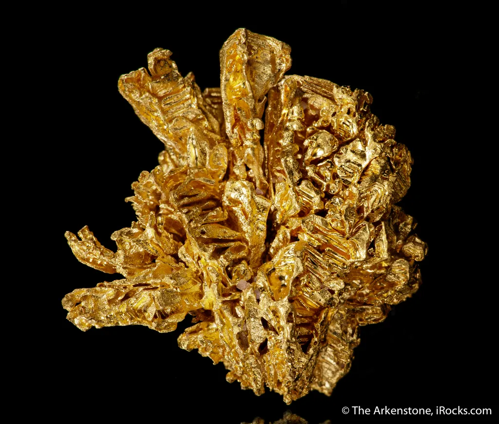 Gold - image 5