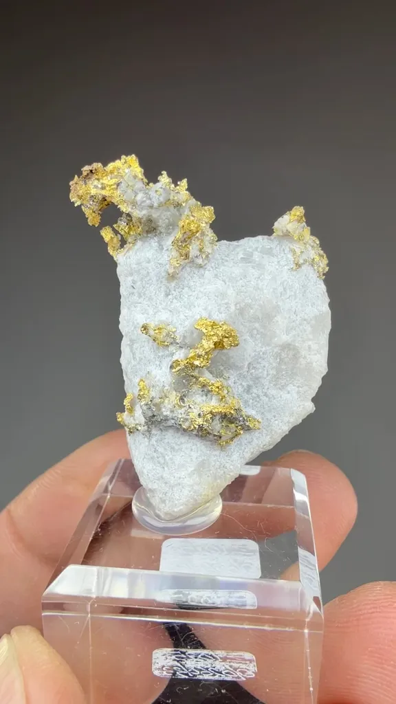 Gold - image 2