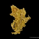 Gold - image 7