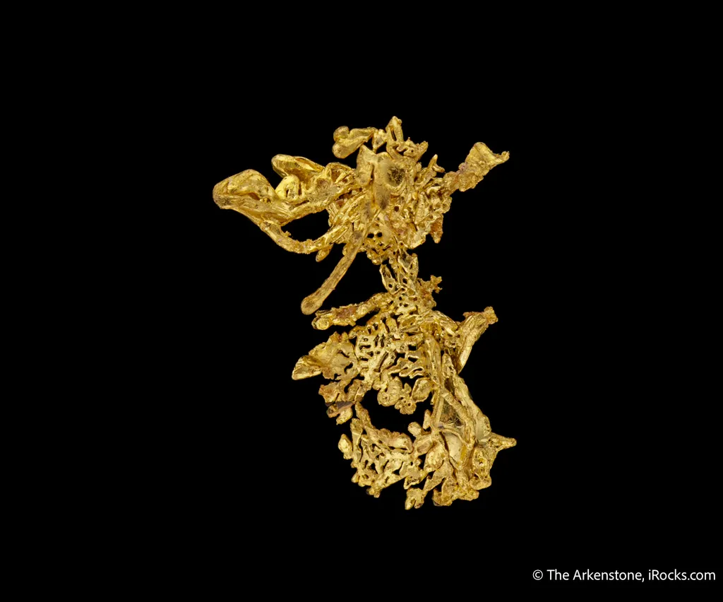 Gold - image 5