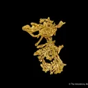 Gold - image 5