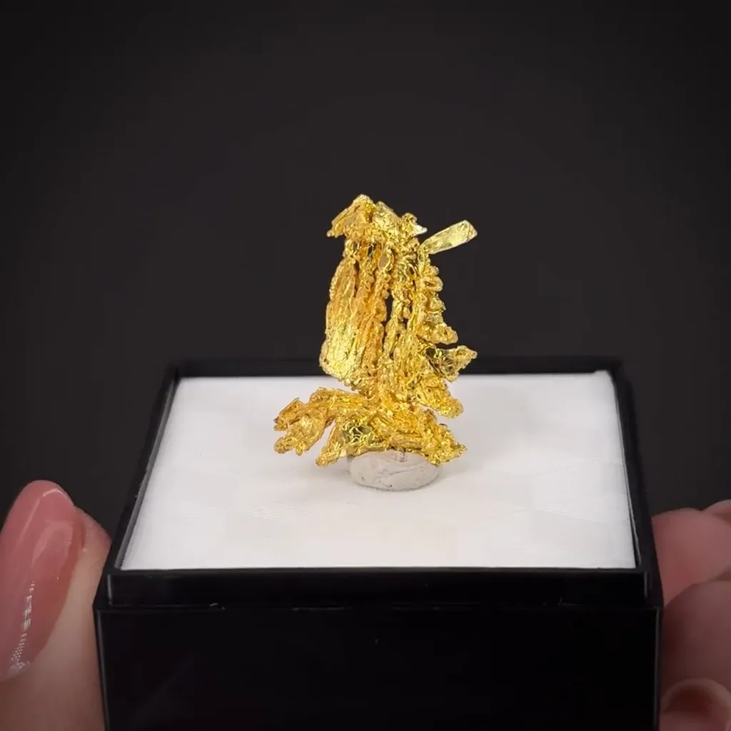 Gold - image 2