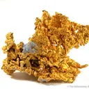 Gold - image 2
