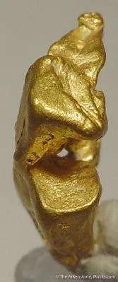 Gold - image 4