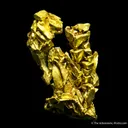Gold - image 5