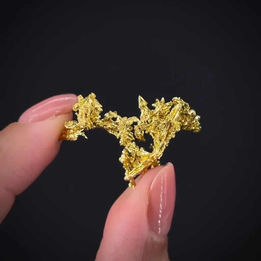 Gold - image 2