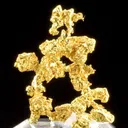 Gold - image 1
