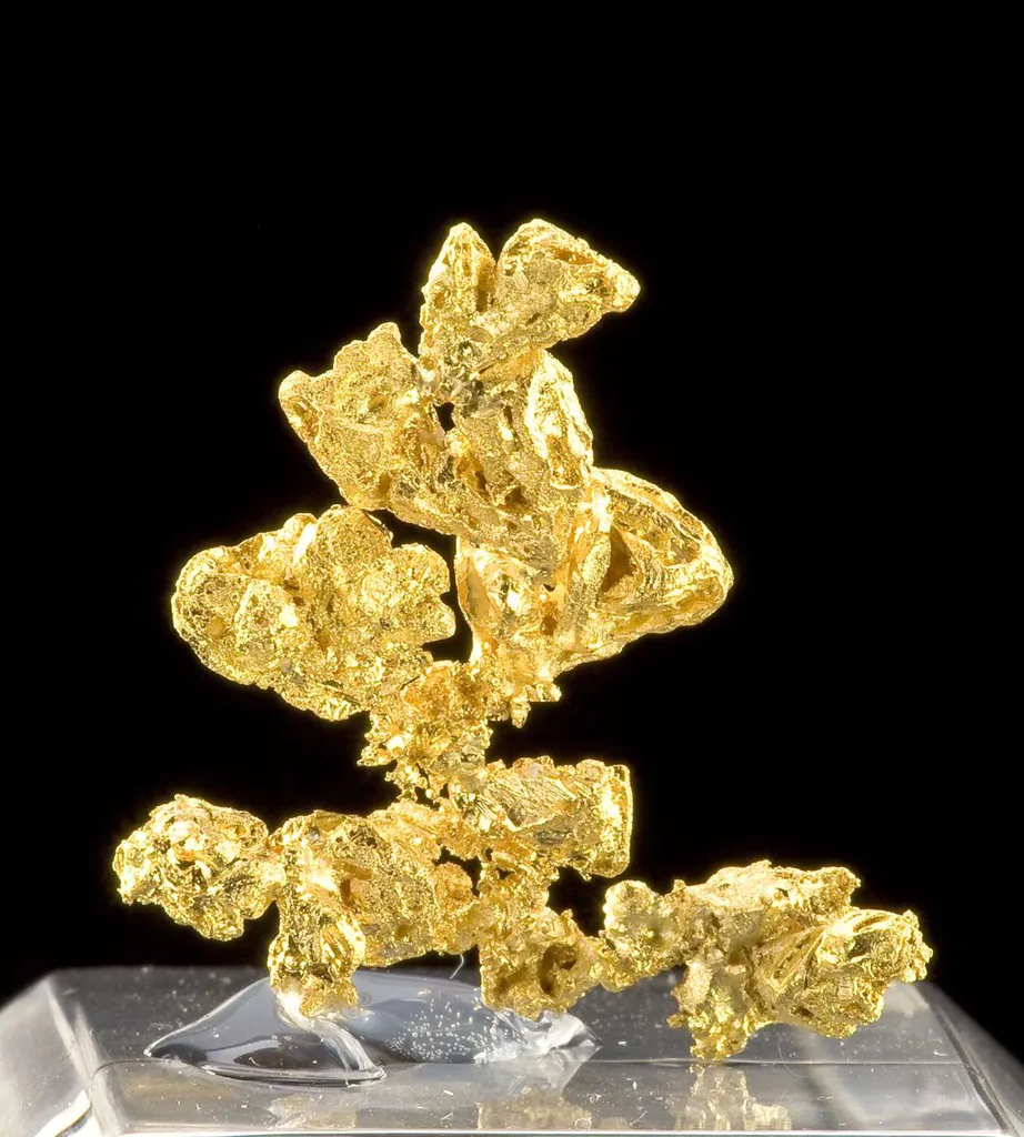 Gold - image 3