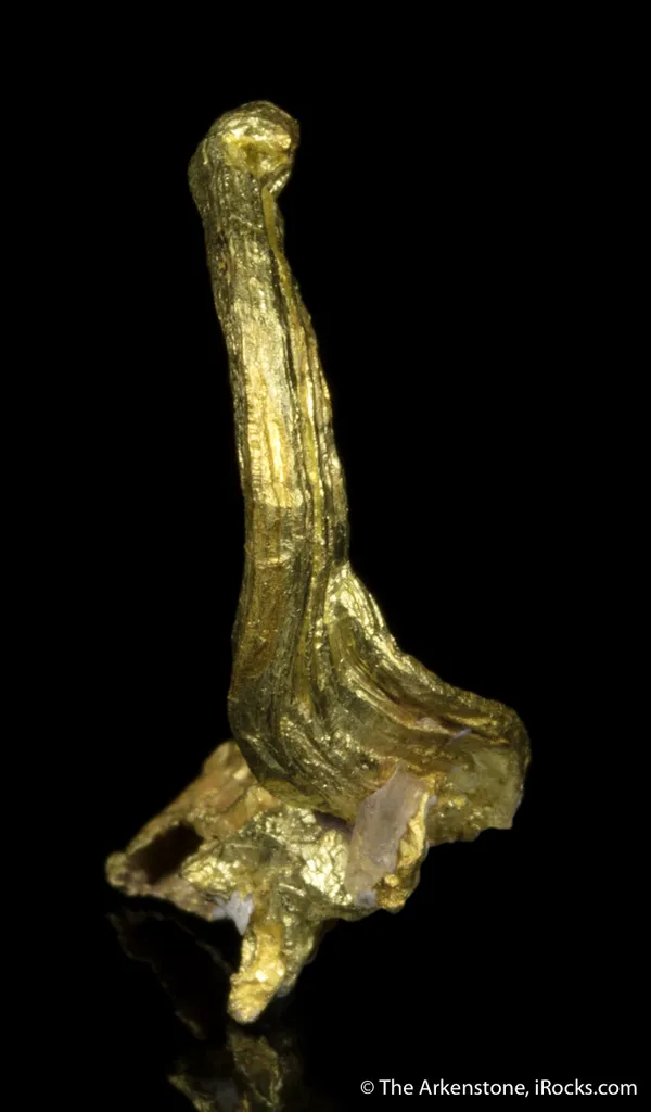 Gold - image 4