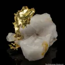 Gold - image 6