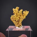 Gold - image 2