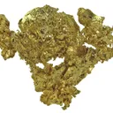 Gold - image 4