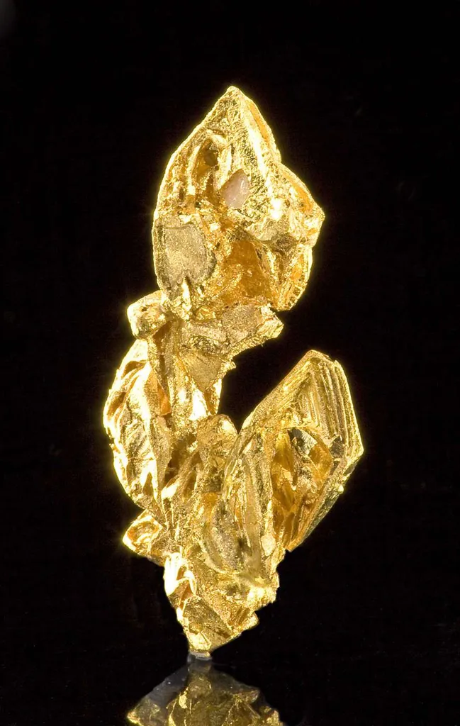 Gold - image 3